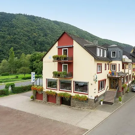 Vergissmeinnicht 3*