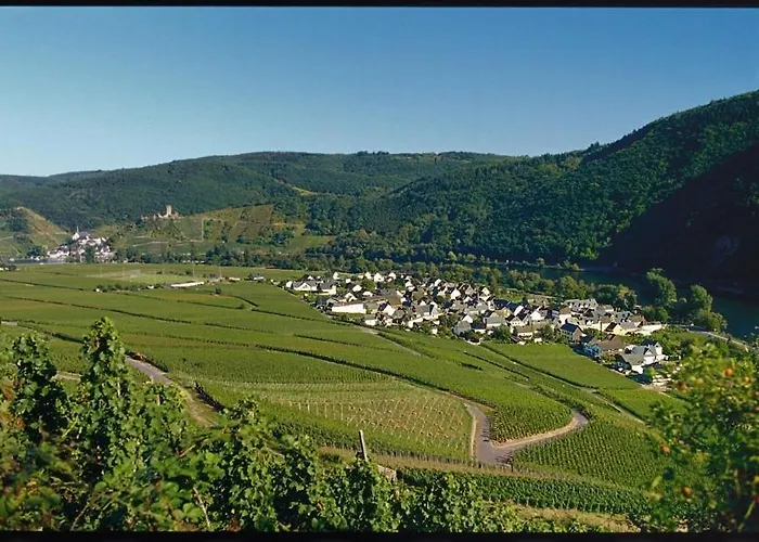 호텔 Vergissmeinnicht